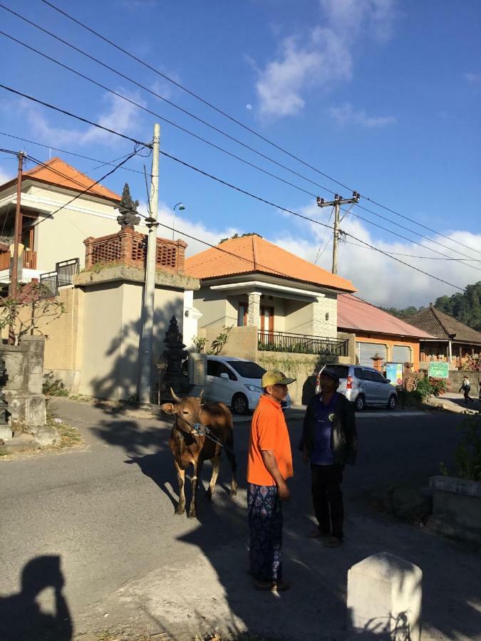 The Villa'S Kubu Sandan Kintamani Exteriér fotografie
